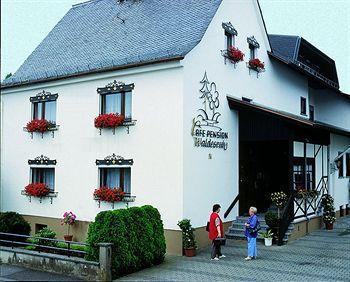 Pension Waldesruh Вельшнойдорф Экстерьер фото
